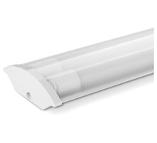 Накладной светильник Wolta  WT82150-02