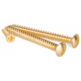 Винт Werkel Ретро (золото) WL18-21-01