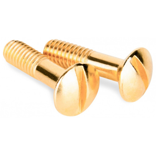 Винт Werkel Ретро (золото) WL18-22-01