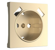 Накладка для розетки с заземлением и 2хUSB Werkel шампань W1179511