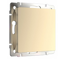 Заглушка для поста Werkel шампань W1159211