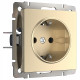 Розетка с заземлением и со шторками, без рамки Werkel шампань W1171111
