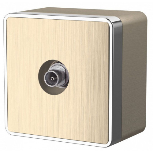 ТВ-розетка оконечная без рамки Werkel Gallant (шампань рифленый) W5083010