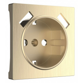 Накладка для розетки с заземлением и 2хUSB Werkel шампань рифленый W1179510