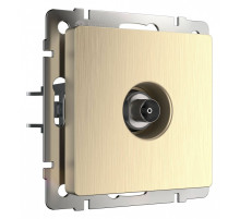 ТВ-розетка без рамки Werkel шампань рифленый W1183010