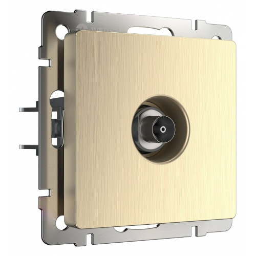ТВ-розетка без рамки Werkel шампань рифленый W1183010