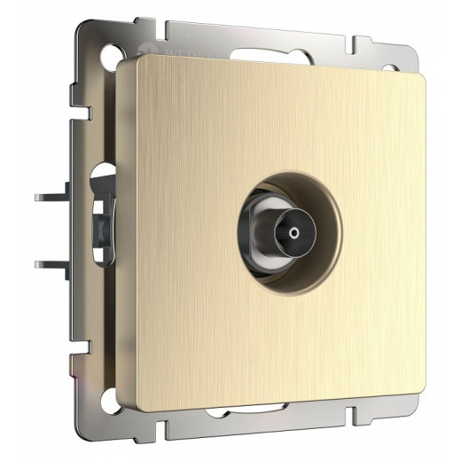 ТВ-розетка без рамки Werkel шампань рифленый W1183010