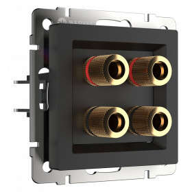 Розетка акустическая без рамки Werkel черный матовый W1185008