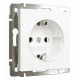 Розетка с заземлением, без рамки Werkel белый матовый W1171061