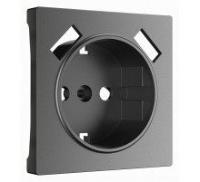 Накладка для розетки с заземлением и 2хUSB Werkel графит матовый W1179564
