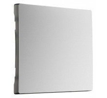 Клавиша для выключателя перекрестного Werkel серебряный матовый W1119065