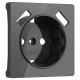 Накладка для розетки с заземлением и 2хUSB Werkel графит акрил W1179544