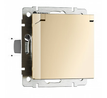 Розетка с заземлением и со шторкой, без рамки с крышкой Werkel шампань W1171211