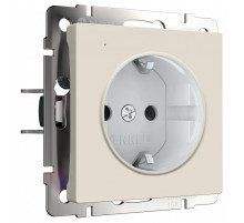 Розетка с заземлением с подсветкой, без рамки Werkel DBQ29 W1171462