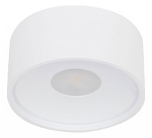 Накладной светильник Wertmark WTA WTA.O01.007.30.12