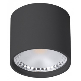 Накладной светильник Wertmark WTA WTA.O02.607.V0.07