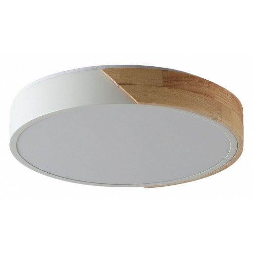 Накладной светильник Zortes Alberro ZRS.01239.90