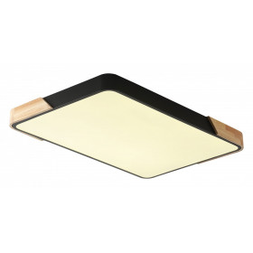 Накладной светильник Zortes Alberro ZRS.01244.60