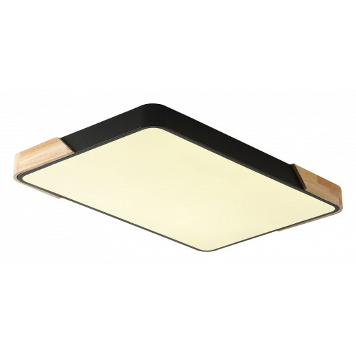 Накладной светильник Zortes Alberro ZRS.01244.60