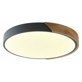 Накладной светильник Zortes Alberro ZRS.01280.90