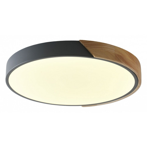 Накладной светильник Zortes Alberro ZRS.01280.90