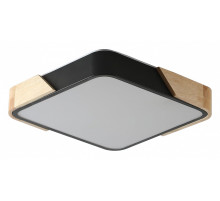 Накладной светильник Zortes Alberro ZRS.01281.36