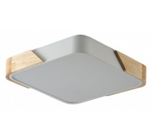 Накладной светильник Zortes Alberro ZRS.01285.48