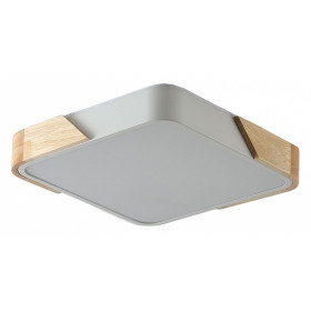 Накладной светильник Zortes Alberro ZRS.01285.48