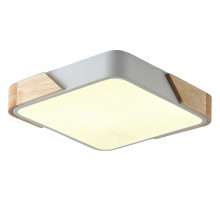 Накладной светильник Zortes Alberro ZRS.01285.60