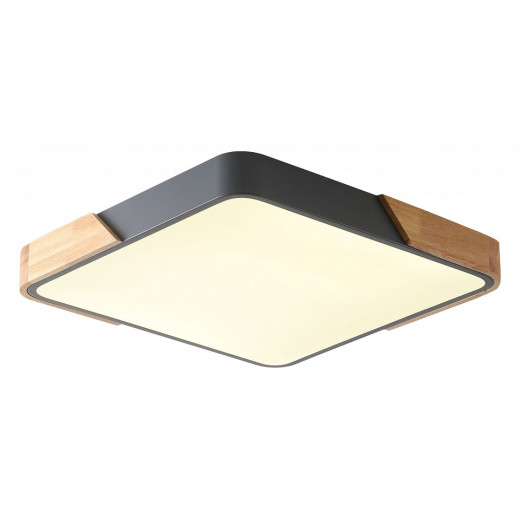 Накладной светильник Zortes Alberro ZRS.01288.48