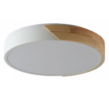 Накладной светильник Zortes Alberro ZRS.01289.48