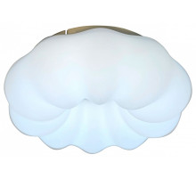 Накладной светильник Zortes Soft ZRS.1118.2