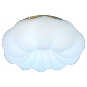 Накладной светильник Zortes Soft ZRS.1118.2