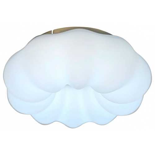 Накладной светильник Zortes Soft ZRS.1118.2