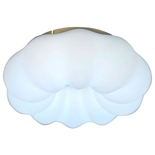 Накладной светильник Zortes Soft ZRS.1118.2