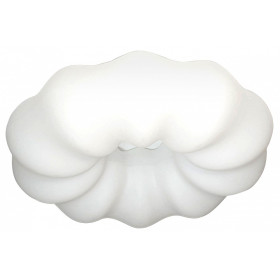 Накладной светильник Zortes Soft ZRS.1118.4