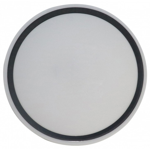 Накладной светильник Zortes Bella ZRS.1201.07