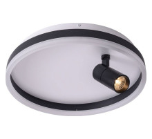 Накладной светильник Zortes Raizy ZRS.1888.03