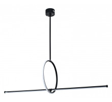 Светильник на штанге Zortes Dasy ZRS.57787.49