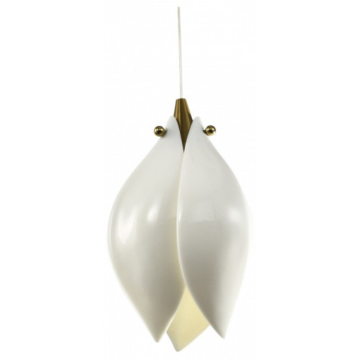 Подвесной светильник Zortes Dalin ZRS.90609.01