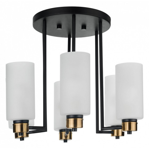 Потолочная люстра 33 идеи CHN900 CHN900.06.BL17.ASB-S16WH