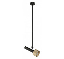 Светильник на штанге iLedex Technical Delta 2361-1 BK+BR