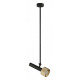Светильник на штанге iLedex Technical Delta 2361-1 BK+BR