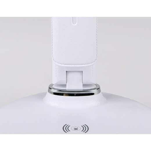 Настольная лампа офисная Ambrella Light DE DE520