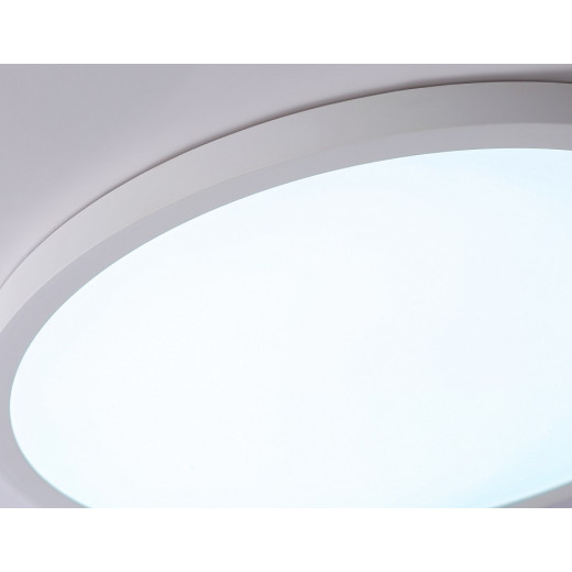 Накладной светильник Ambrella Light FZ FZ1955