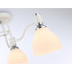 Потолочная люстра Ambrella Light TR TR303302