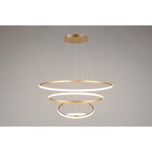 Подвесной светильник Aployt Janina APL.018.13.100