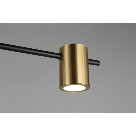 Потолочная люстра Aployt Elwisia APL.633.07.08