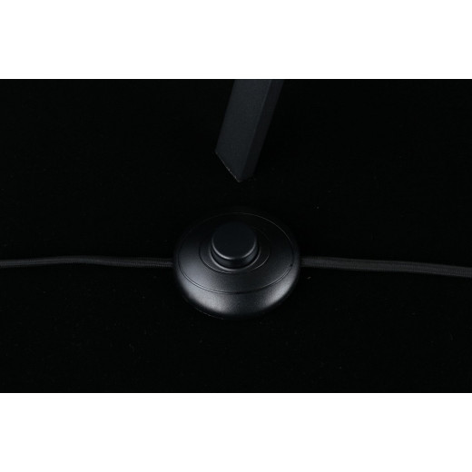 Торшер Aployt Donatin APL.636.05.01