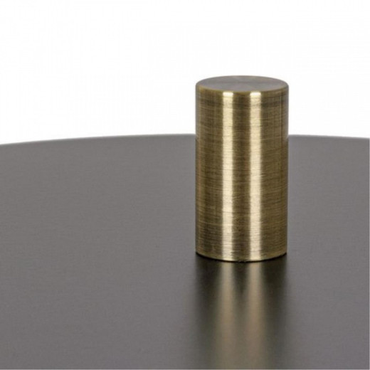 Настольная лампа декоративная Arte Lamp Skat A7052LT-2BK